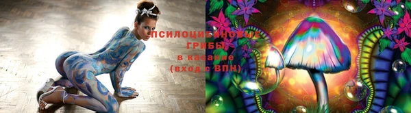 герыч Бородино