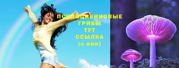 герыч Бородино