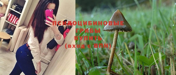 герыч Бородино